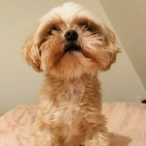 Meet your Posher, Isabel